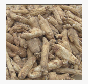 American ginseng root extract American ginseng root extract
