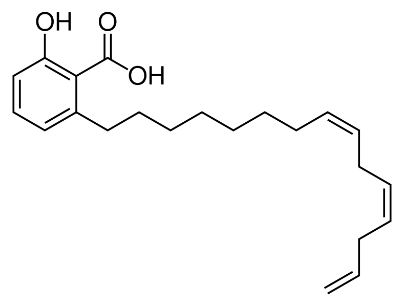 Anacardic Acid Anacardic Acid