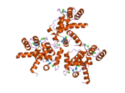 Cav1.3 Calcium Channel Monoclonal Antibody (Clone S48A-9) Cav1.3 Calcium Channel Monoclonal Antibody (Clone S48A-9)