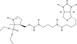 DEPMPO-biotin DEPMPO-biotin