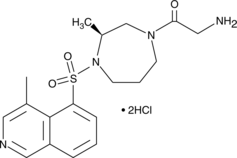 Glycyl-H-1152 (hydrochloride) Glycyl-H-1152 (hydrochloride)