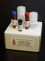 HDAC Cell-Based Activity Assay Kit HDAC Cell-Based Activity Assay Kit