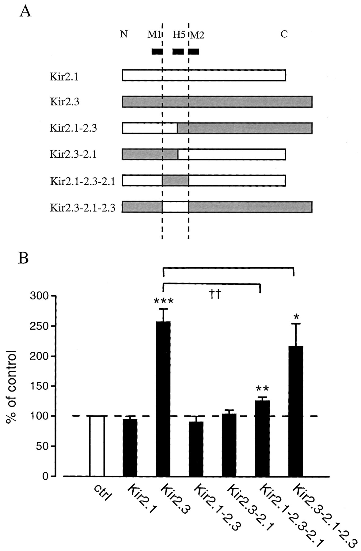 Kir2.3 Potassium Channel Monoclonal Antibody (Clone S25-35) Kir2.3 Potassium Channel Monoclonal Antibody (Clone S25-35)