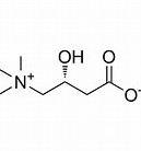 Pure L-Carnitine powder Pure L-Carnitine powder