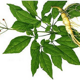 Low pesticide residues ginseng extract Low pesticide residues ginseng extract