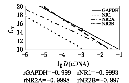NMDA Receptor NR2A Subunit Polyclonal Antibody NMDA Receptor NR2A Subunit Polyclonal Antibody