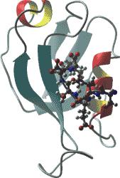 NMDA Receptor NR2B Subunit Polyclonal Antibody NMDA Receptor NR2B Subunit Polyclonal Antibody