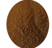 Natural Vitex trifolia fruit extract Natural Vitex trifolia fruit extract