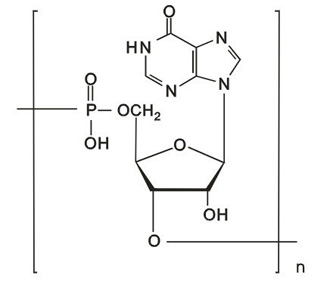 Polyinosinic acid Polyinosinic acid