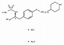 Tirofiban Hydrochloride Monohydrate Tirofiban Hydrochloride Monohydrate