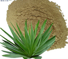 Yucca aloifolia extract Yucca aloifolia extract