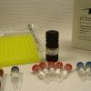 11β-Prostaglandin F2α EIA Kit