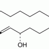 15-hydroxy Prostaglandin Dehydrogenase Western Ready Control