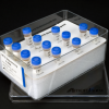 Colorimetric COX (ovine) Inhibitor Screening Assay Kit