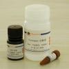 MTT Cell Proliferation Assay Kit