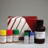 Myeloperoxidase Chlorination Assay Kit