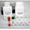 Nitrate/Nitrite Colorimetric Assay Kit