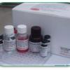 Prostaglandin D2-MOX Express EIA Kit