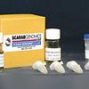 Prostaglandin E Metabolite EIA Kit