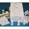 Prostaglandin E2 EIA Kit - Monoclonal