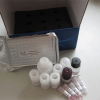 Prostaglandin F2α EIA Kit