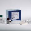 Prostaglandin Screening EIA Kit
