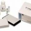 sPLA2 (Type V) Inhibitor Screening Assay Kit