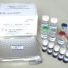 sPLA2 (human Type IIA) EIA Kit