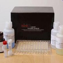 13,14-dihydro-15-keto Prostaglandin F2α EIA Kit