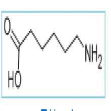 6-Aminocaproic acid