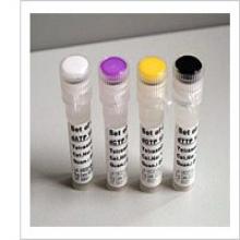 Cholesterol Cell-Based Detection Assay Kit