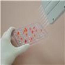 Methyltransferase Colorimetric Assay Kit