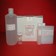 Nitrate/Nitrite Colorimetric Assay Kit (LDH method)