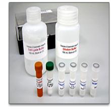 Nitrate/Nitrite Colorimetric Assay Kit