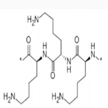 Polylysine 