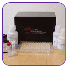 Prostaglandin D Synthase (lipocalin-type; human) EIA Kit