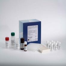 Prostaglandin Screening EIA Kit