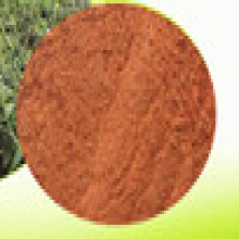 Salvianolic acid B 