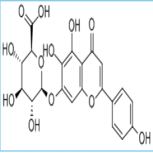Scutellarin