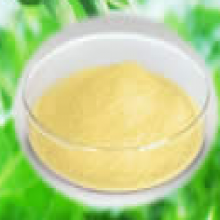 Silymarin