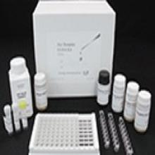 Superoxide Dismutase Assay Kit