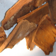 Yohimbine Bark Extract 