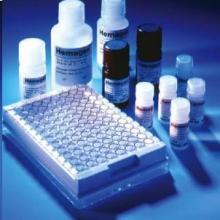 ent-Prostaglandin F2α EIA Kit