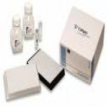 sPLA2 (Type V) Inhibitor Screening Assay Kit