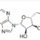Adenine nucleotides