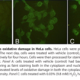 Aldehyde Site (DNA and Protein) Detection Kit