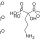 Alendronate Sodium Tablets 