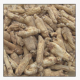 American ginseng root extract