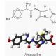 Amoxicillin 