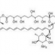 Amphotericin B 